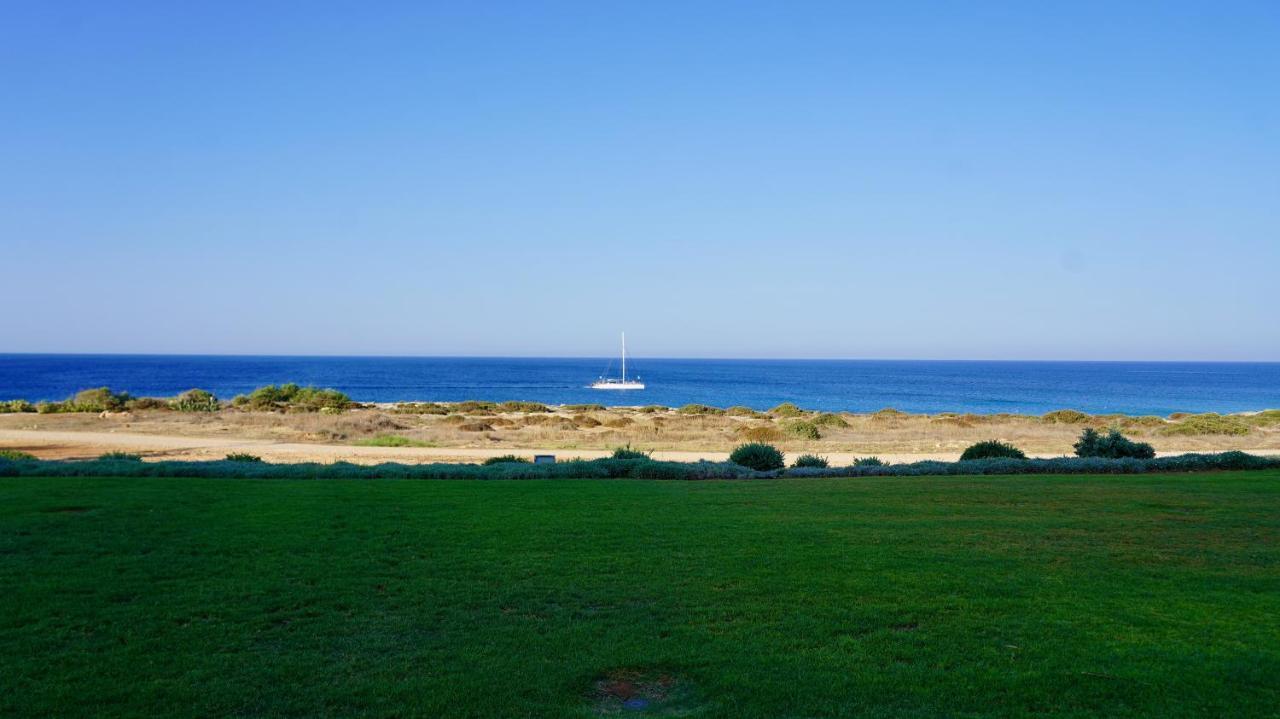 Villa Narcissus 19 Paralimni Esterno foto